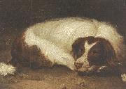 A sporting dog lying down Johann Christoph Rincklake